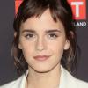 Emma-Watson (41)