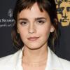 Emma-Watson (44)